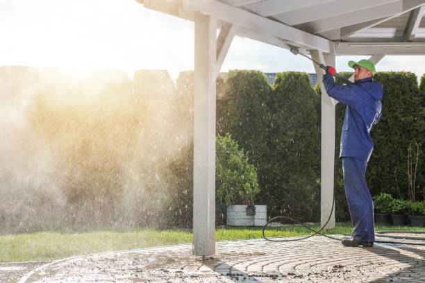 Best Solar Panel Cleaning  in Redway, CA