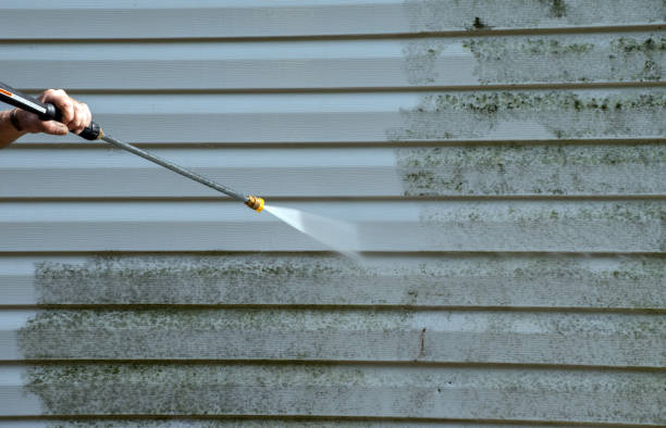 Best Sidewalk and Walkway Cleaning  in Redway, CA